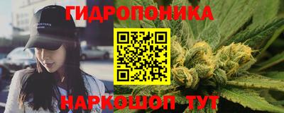 шишки Дубна
