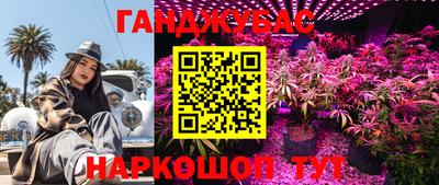 СК Донецк