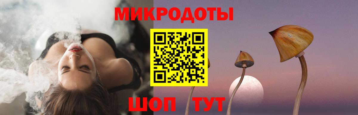 Псилоцибиновые грибы Psilocybe  Вход с VPN  Котельники 